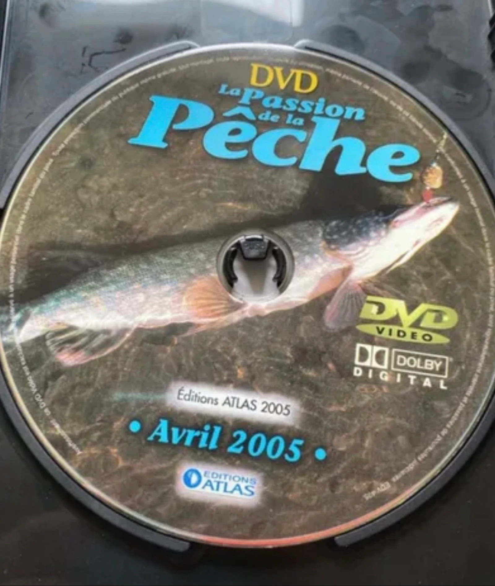 12 dvd – photo 16
